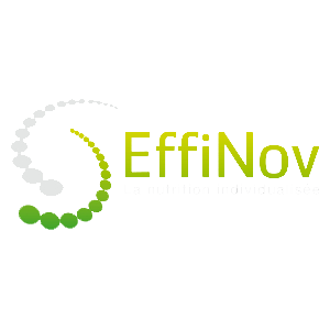 Logo effinow