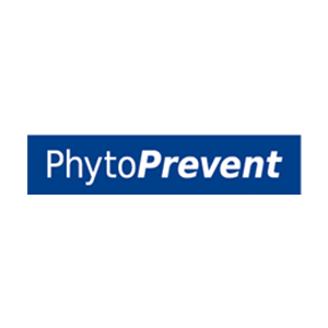 Logo phyto