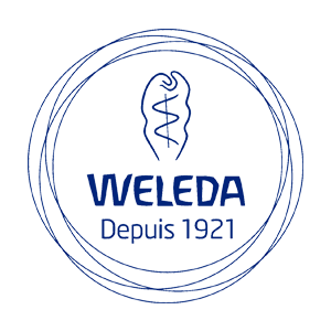 Logo webe