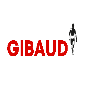 Logo GIBAUD